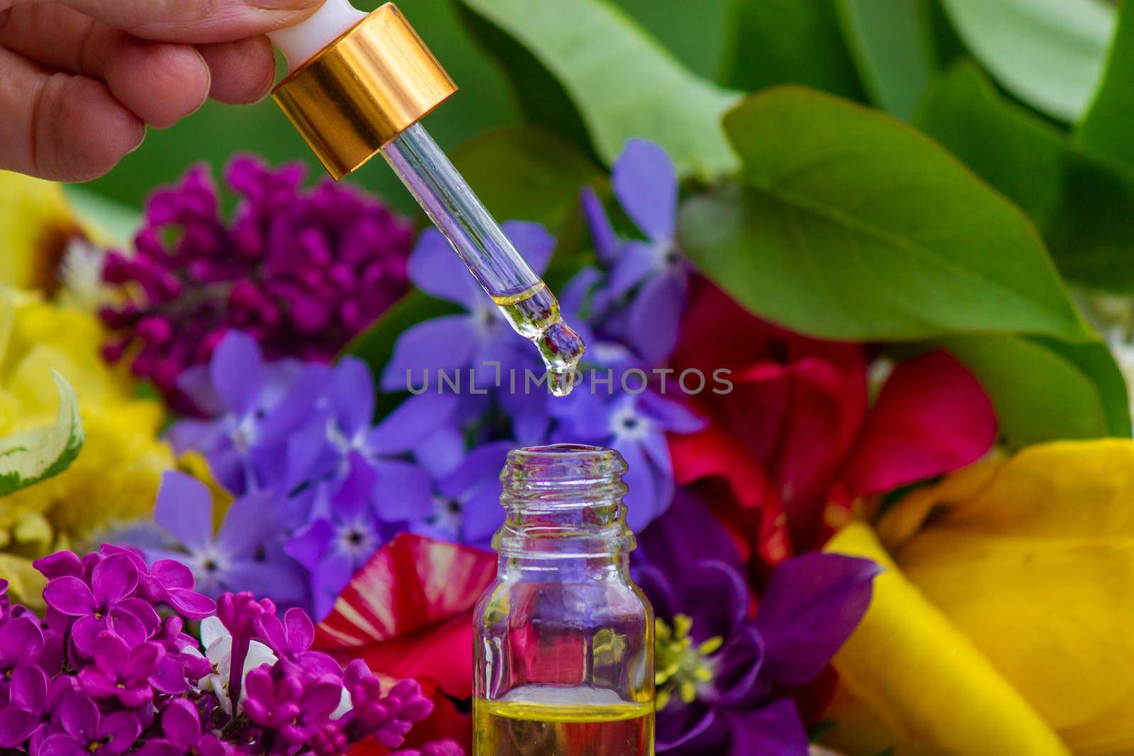 Flower Buzz Collection Flower essential oil. Lilac essential oil in a bottle. Nature. Selective focus