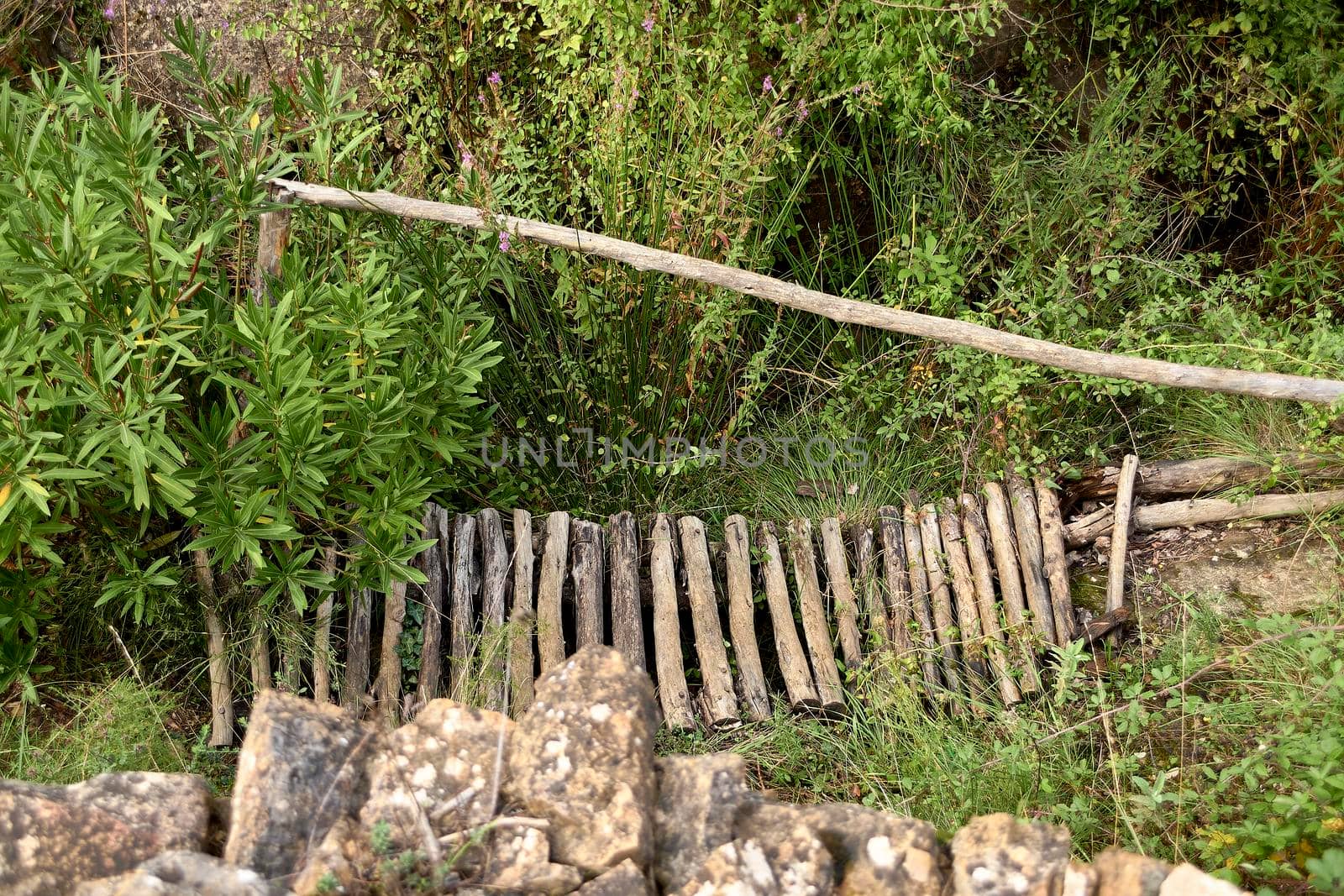 Bridge made of wood destroyed in the vegetation. Destruction, zenithal view, rustic and handmade.
