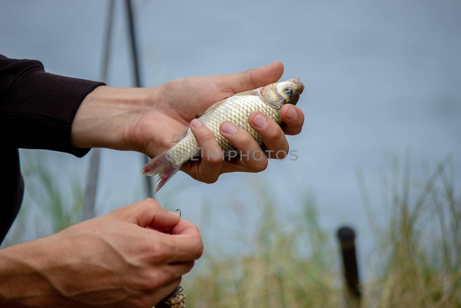 Fishing. Fish on a hook. Selective focus Nature