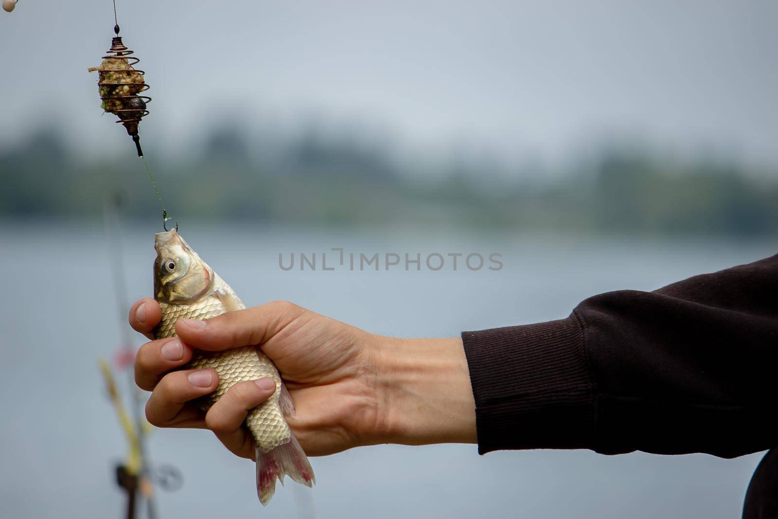 Fishing. Fish on a hook. Selective focus Nature