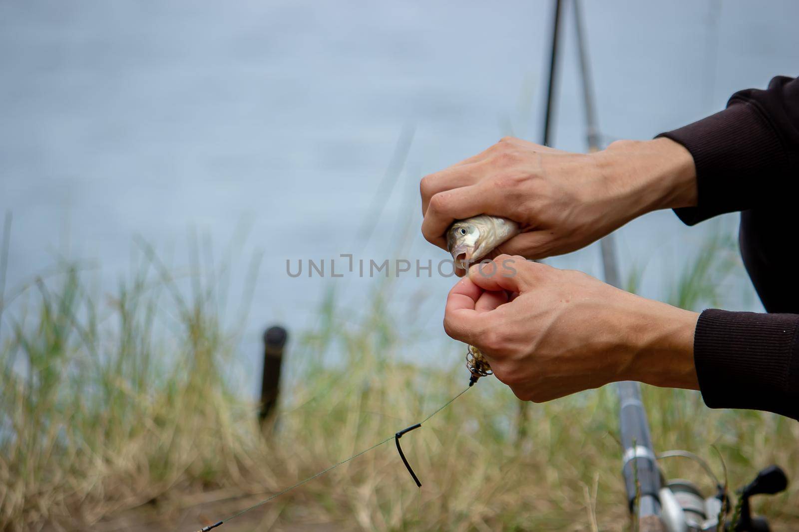 Fishing. Fish on a hook. Selective focus Nature