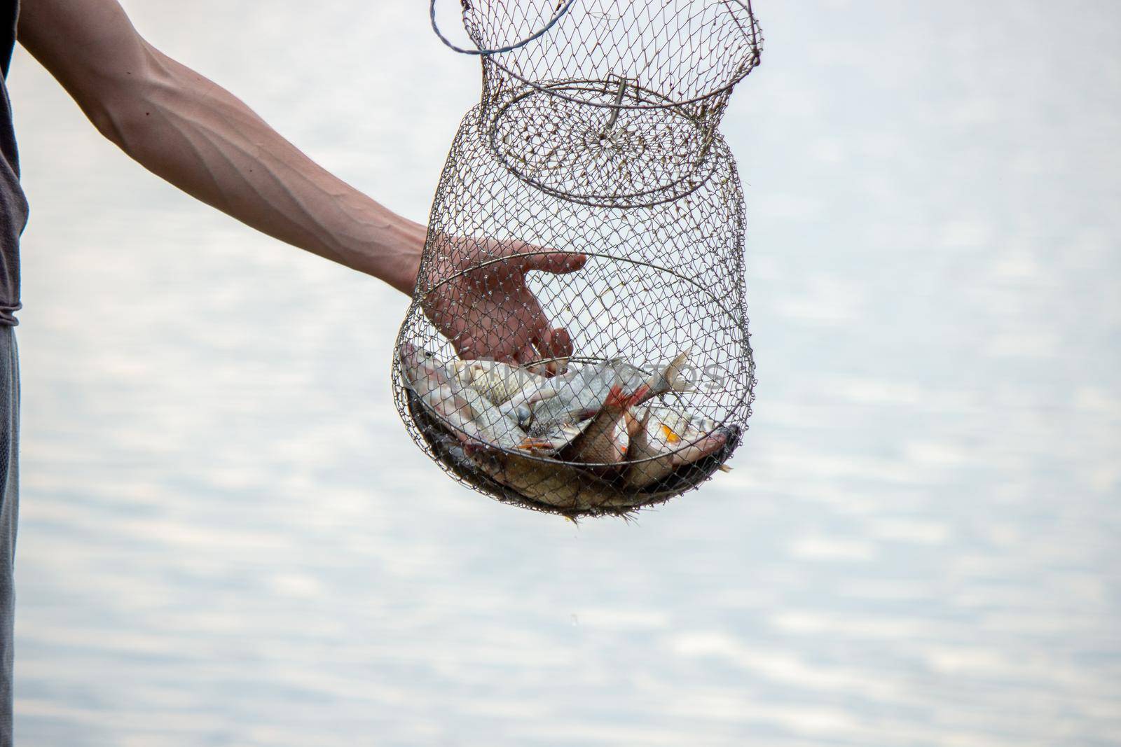 Fishing. Fish on a hook. Selective focus Nature