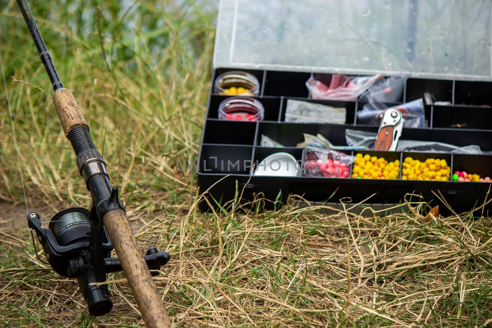 Fishing tackle on the river bank, bait rod, spinning rod, fish. Nature. Selective focus