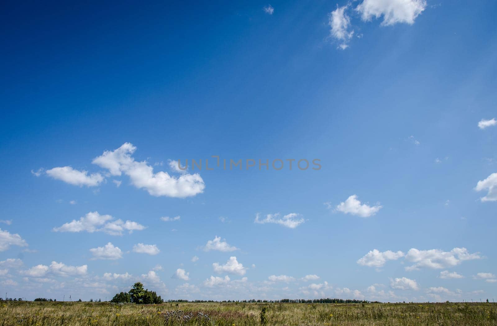 picturesque field against the blue sky by Proff