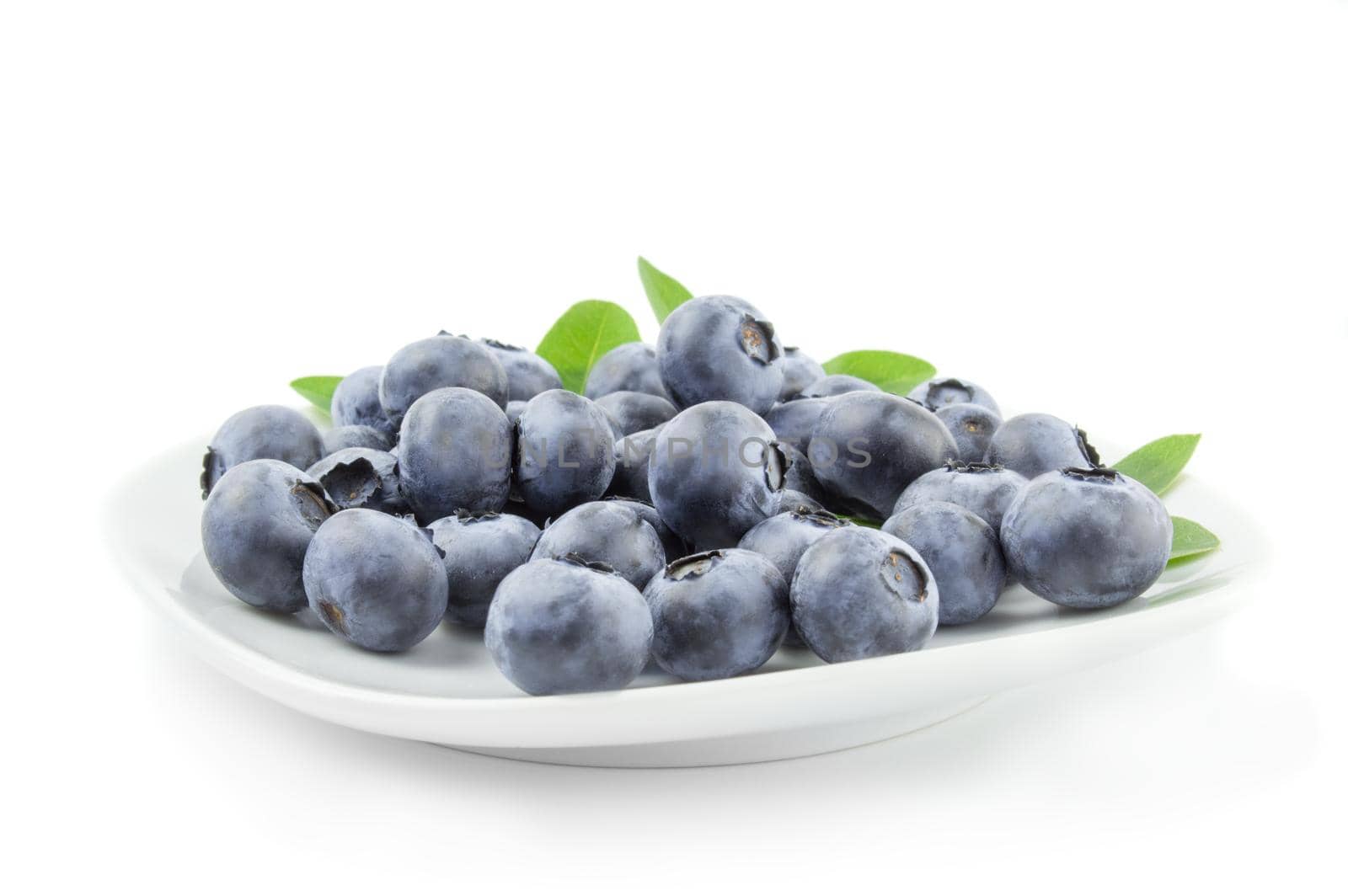 Fresh blueberries in a white plate isolated on white background cutout