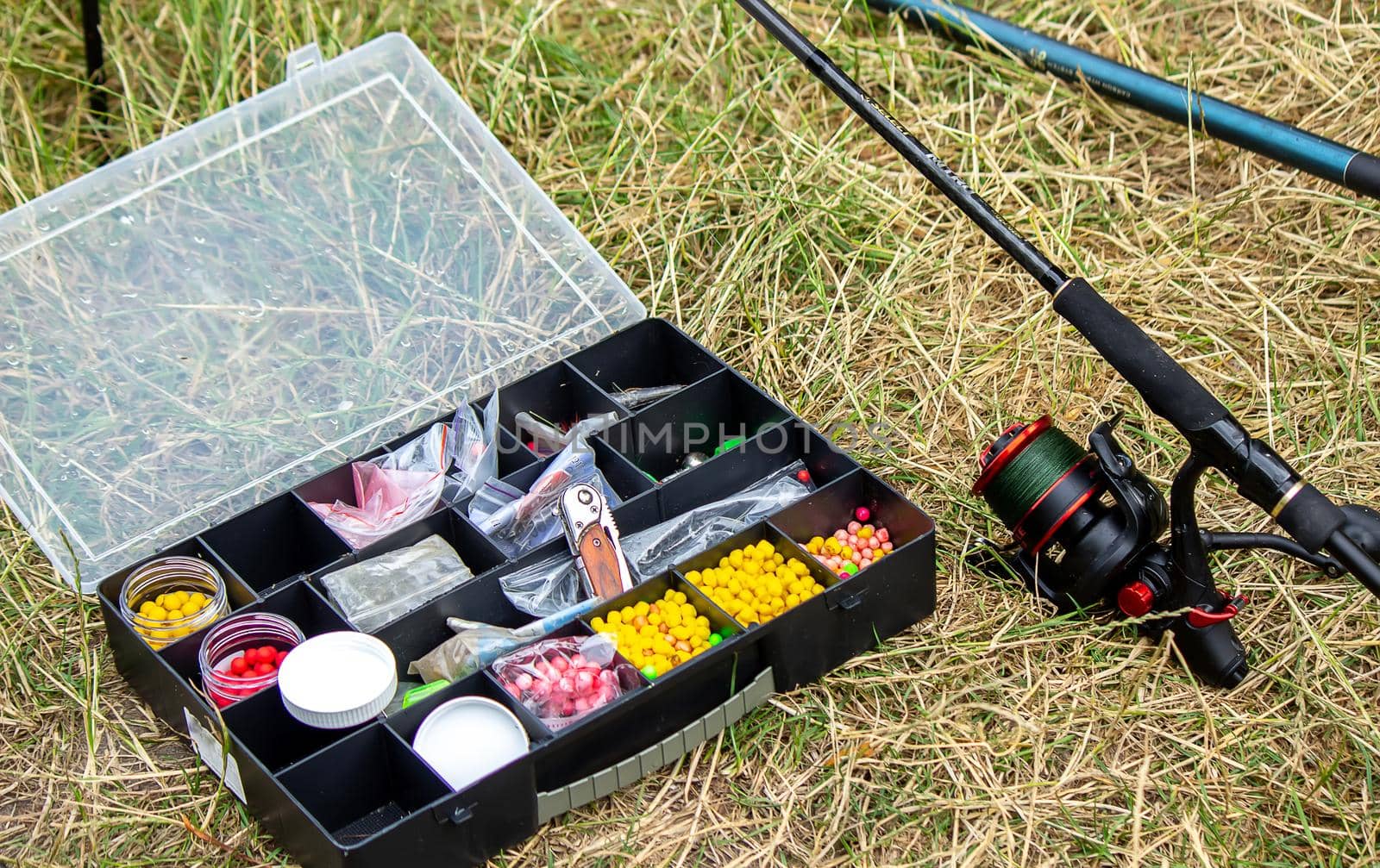 Fishing tackle on the river bank, bait rod, spinning rod, fish. Nature. Selective focus
