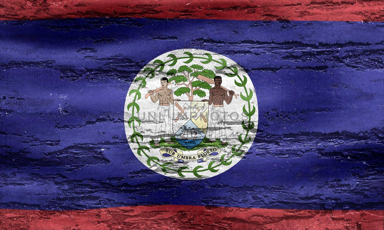 Belize flag - realistic waving fabric flag