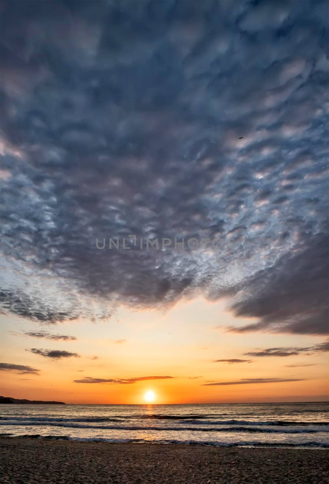 Beautiful sea sunset or sunrise with amazing clouds. Vertical view  by EdVal