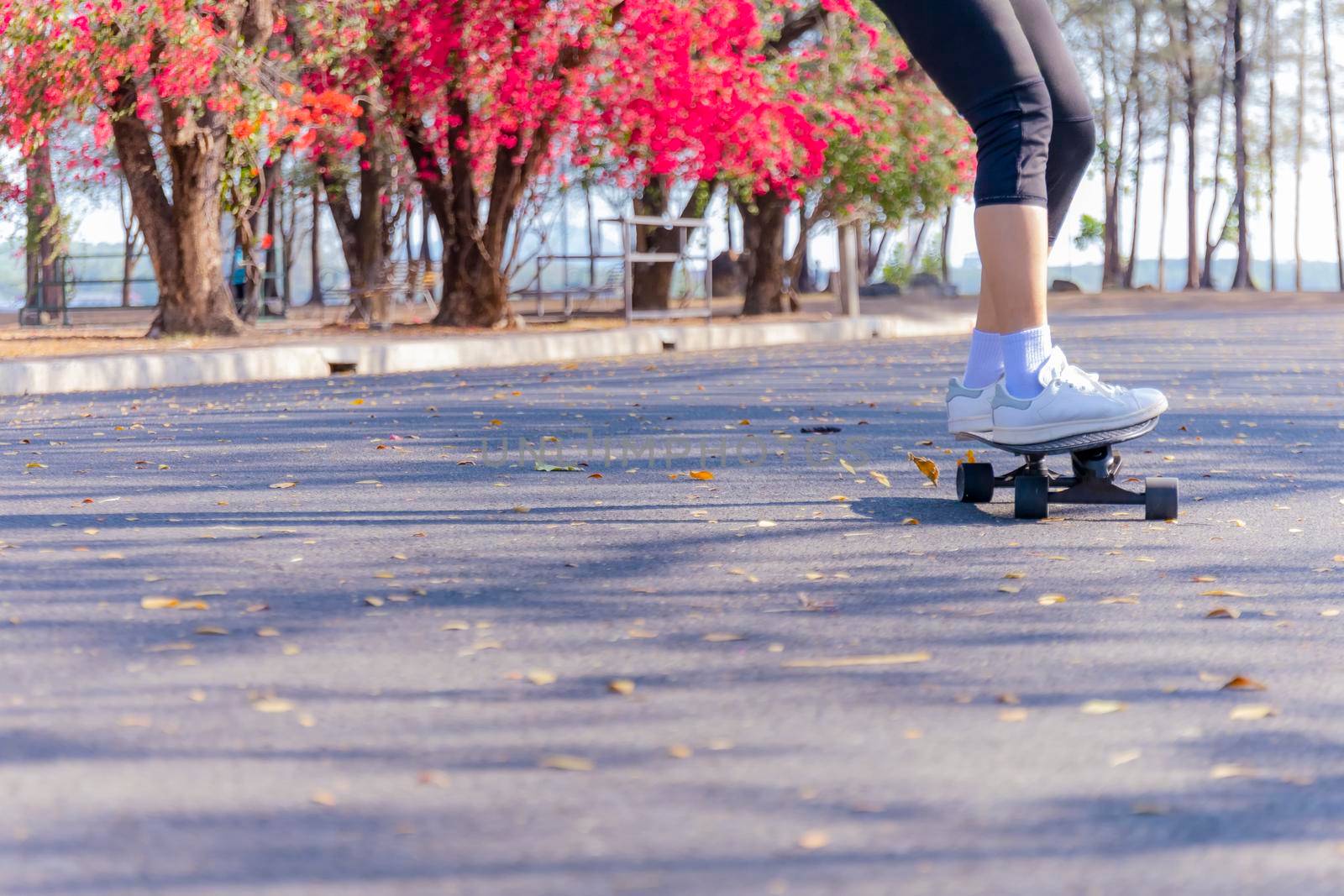 Close-up and motion movement Asian women surf skate or skateboard outdoors on beautiful morning. Happy young women play surf skate at park on morning time. Close up Asian women leg wear sneaker paly surf skate on public park. Sport concept