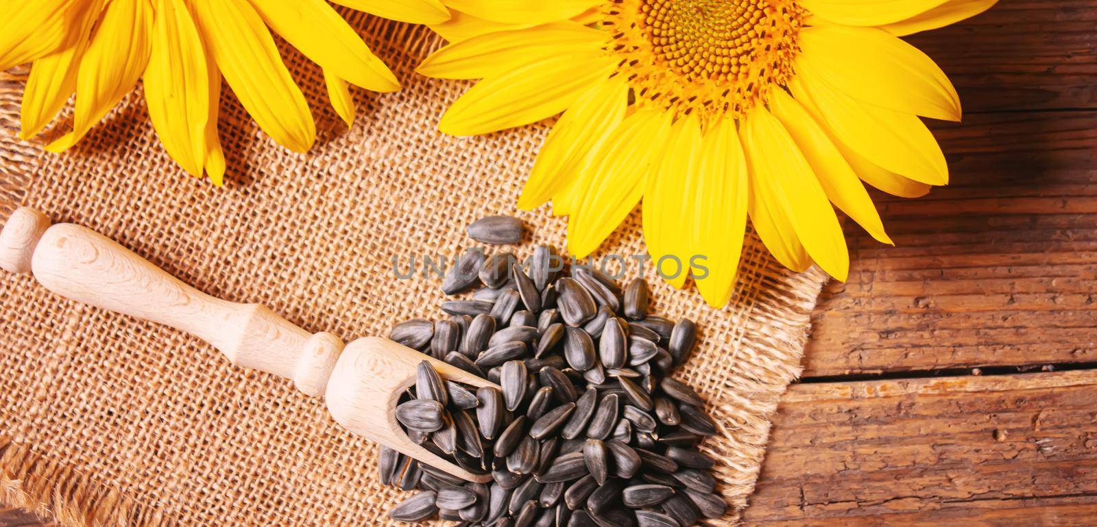 Sunflower seeds and oil bottle on old wooden background. Selective focus by mila1784
