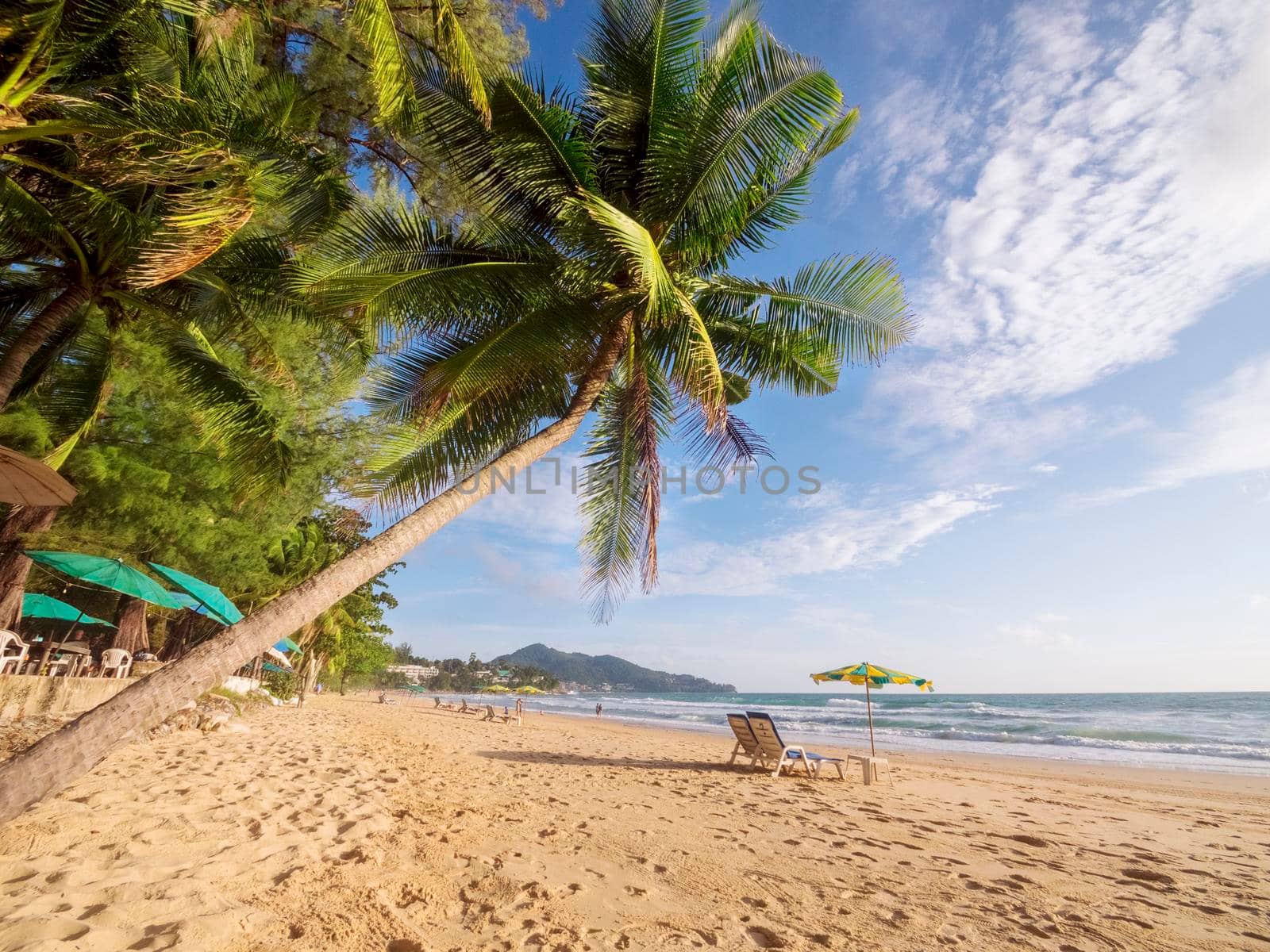 Coconut palm tree on white sandy beach in Phuket Thailand. Travel concept coconut palm trees with beautiful tropical background. Phuket beach Thailand with crowd of happy tourists. Holidays vacation