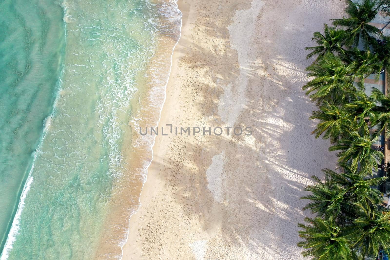 Aerial view top view Beautiful topical beach with white sand coconut palm trees and sea. Top view empty and clean beach. Waves crashing empty beach from above. With copy space.