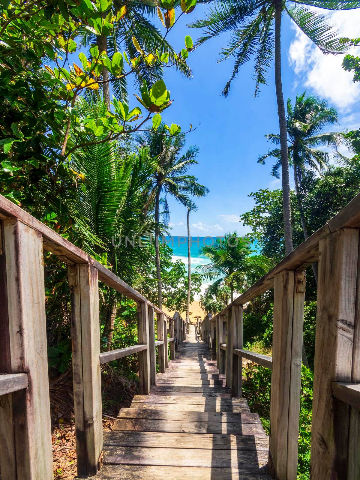 Wooden steps leading down to the beach. Wooden stairs down to the tropical beach. Phuket freedom beach Thailand. Summer day holiday vacation concept by Satrinekarn
