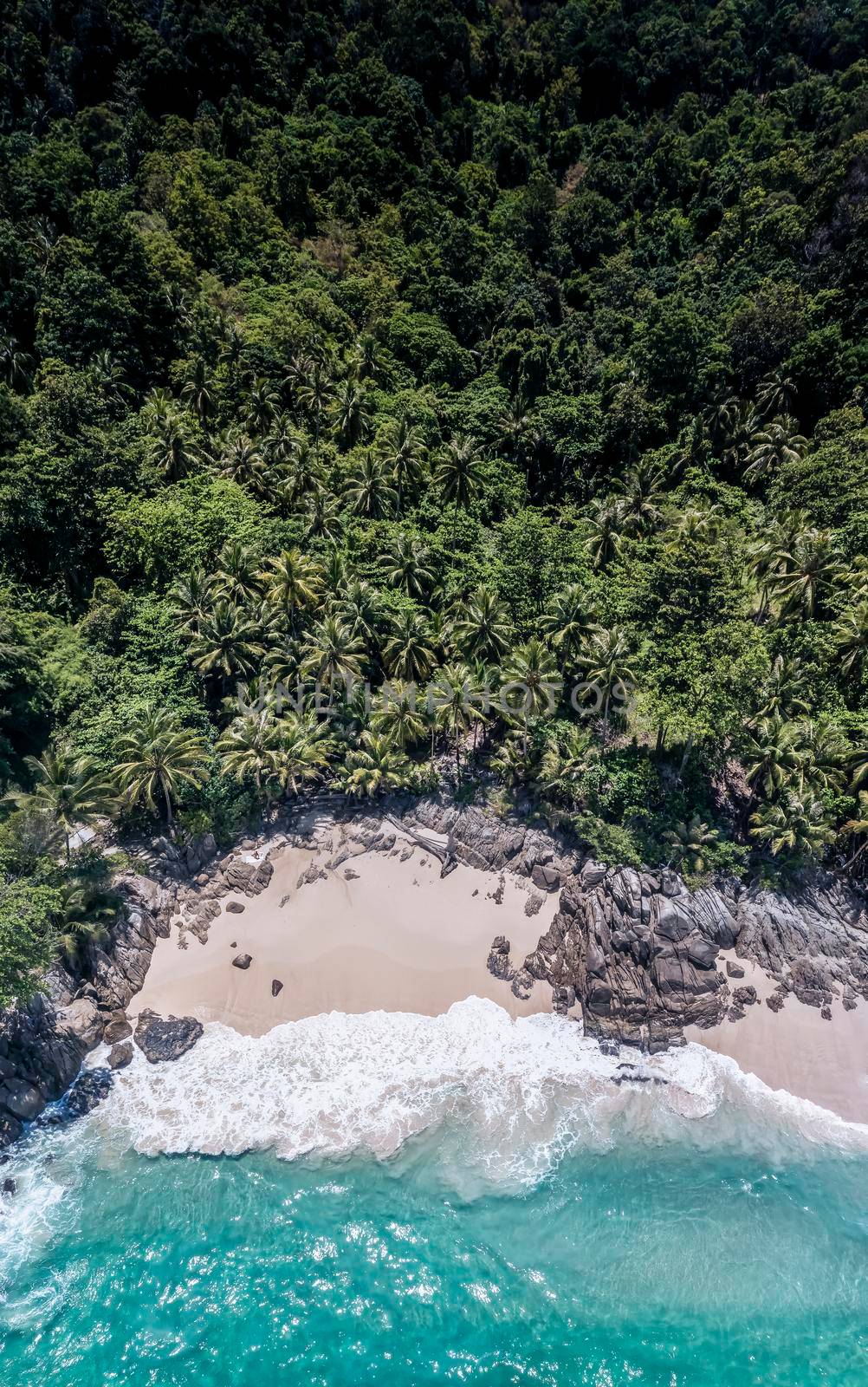 Aerial drone top down view of beatiful beach blue sea. Panorama view of beach with coconut palm tree. Aerial view drone white beach sand. Blue sea clear water. Freedom Beach, Phuket, Thailand.