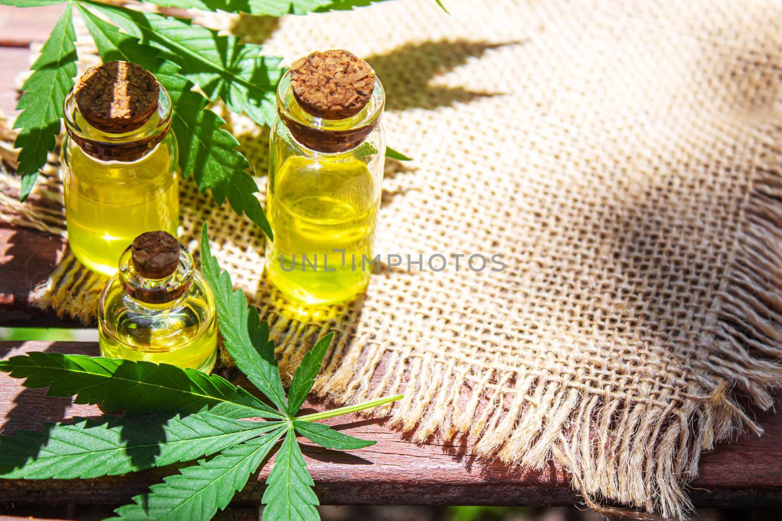 Cannabis extract essential oil in a small bottle. Selective focus. Nature.