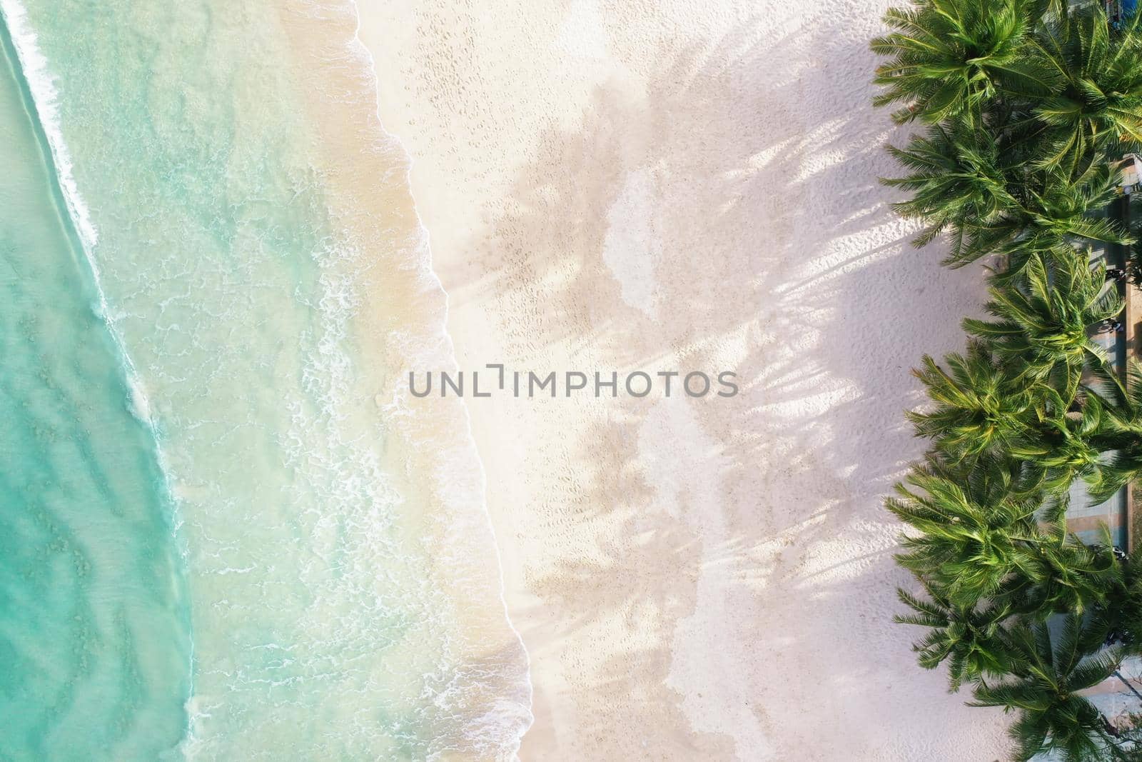 Aerial view top view Beautiful topical beach with white sand coconut palm trees and sea. Top view empty and clean beach. Waves crashing empty beach from above. With copy space.