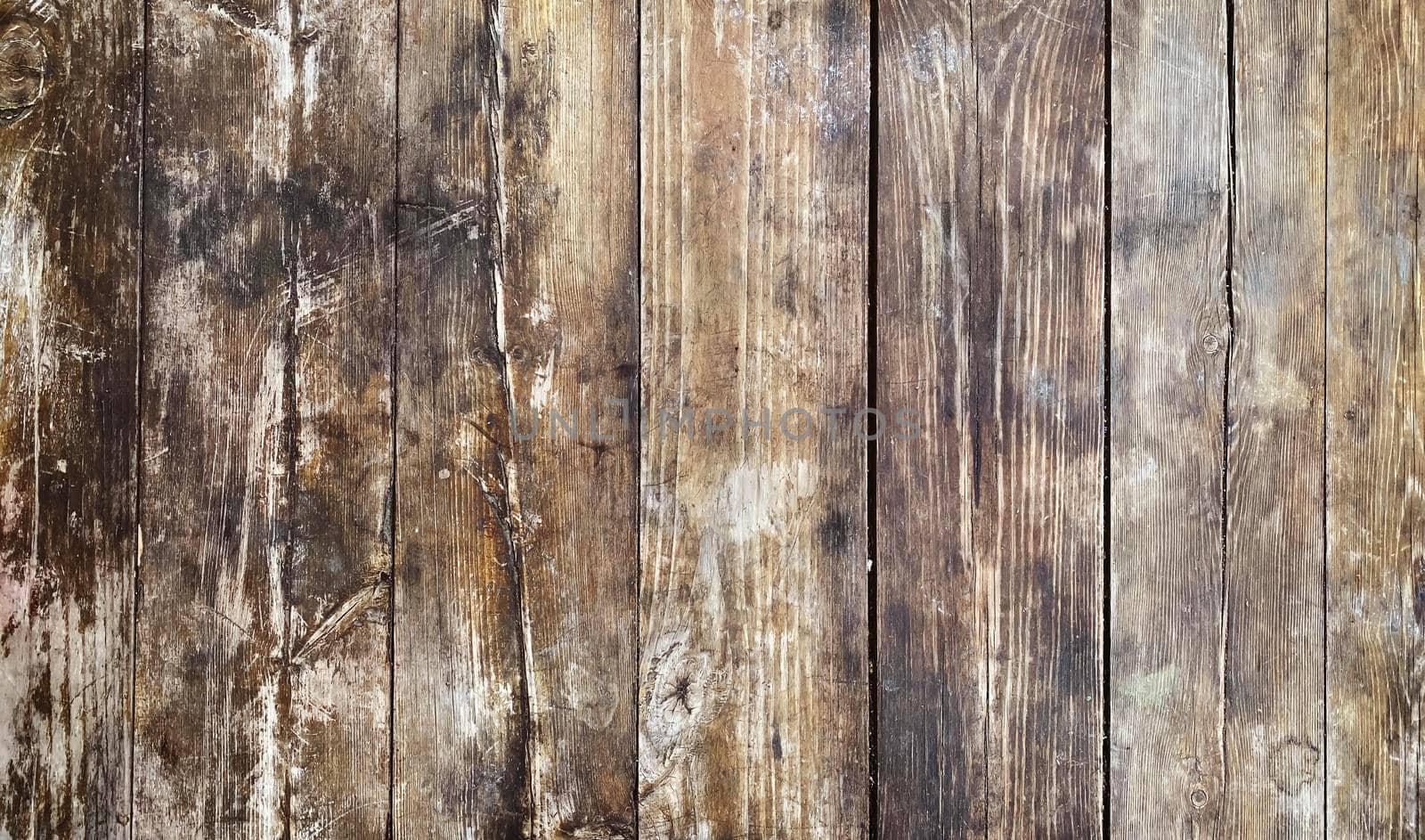 Texture of a wooden background. Selective focus. by mila1784