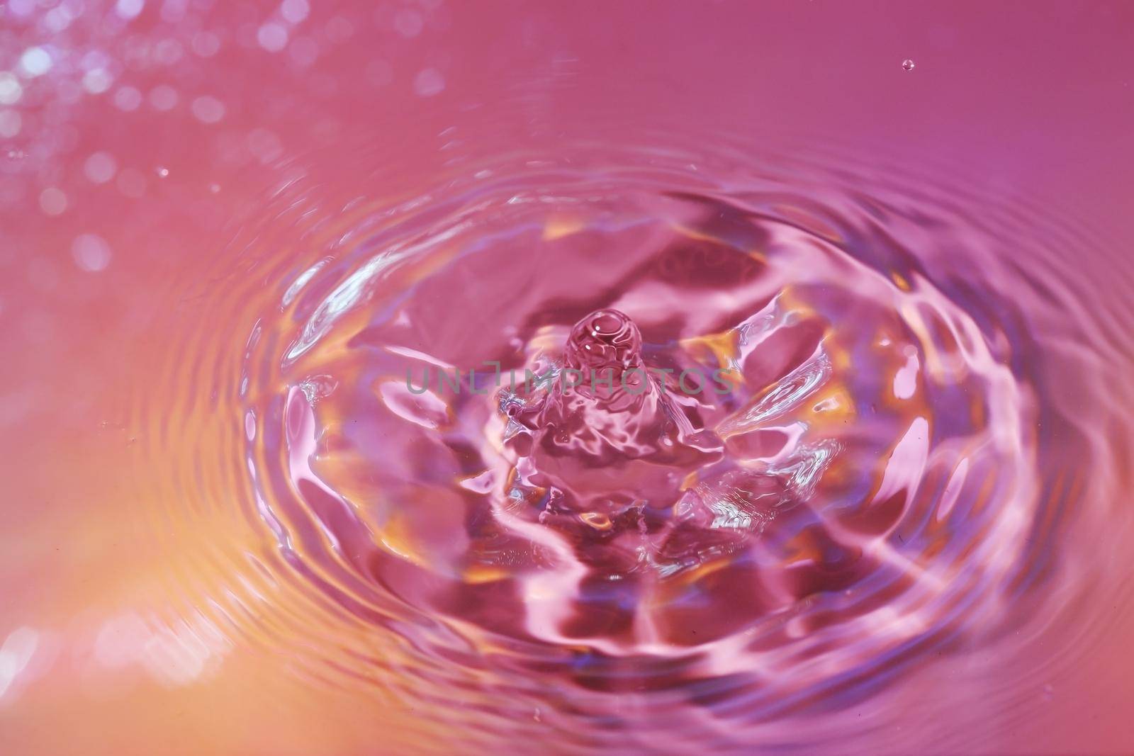 Close-up macro of a water drop droplet