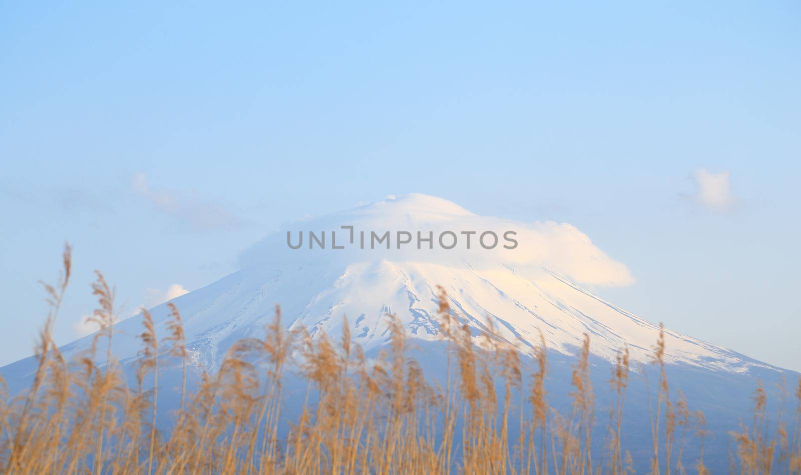 peak of Mount Fuji, view from Lake Kawaguchiko, Japan