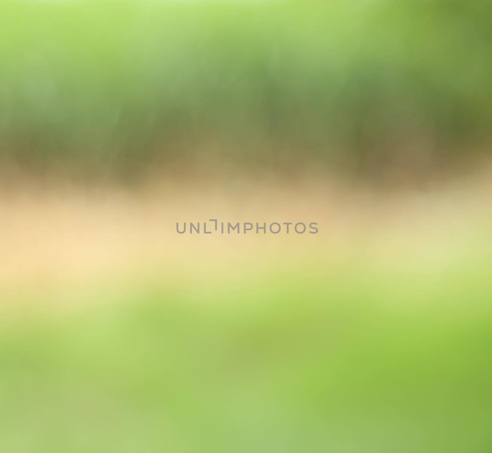 natural blur abstract and background (defocused)
