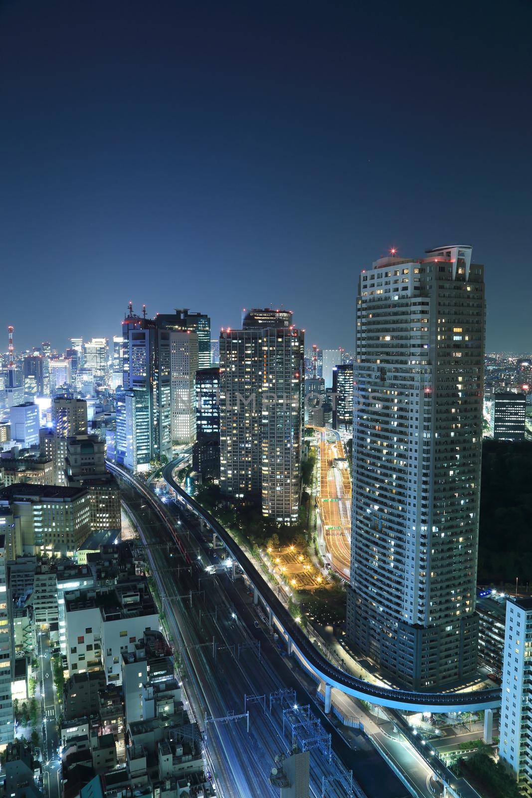 Tokyo cityscape at night of Japan