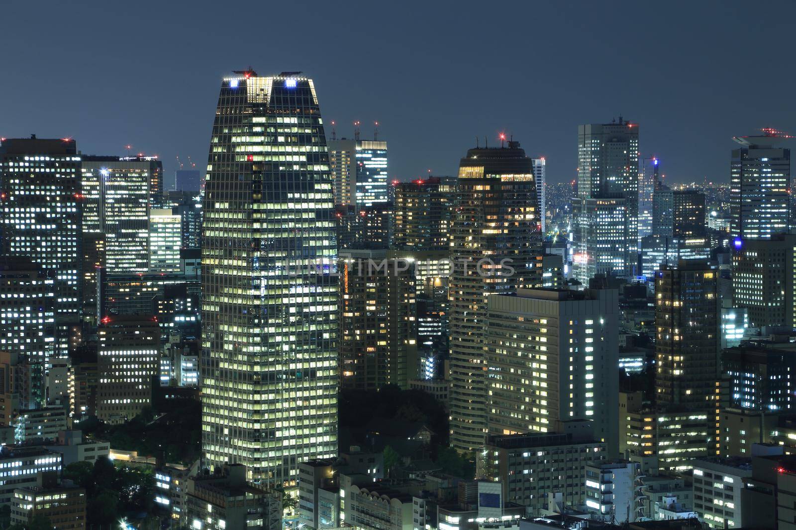 Tokyo cityscape at night of Japan