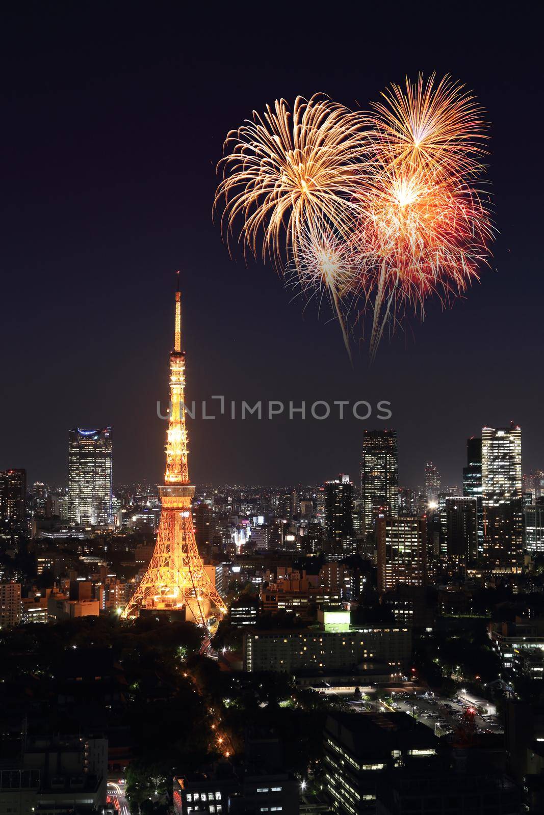 Fireworks celebrating over Tokyo cityscape at night by geargodz
