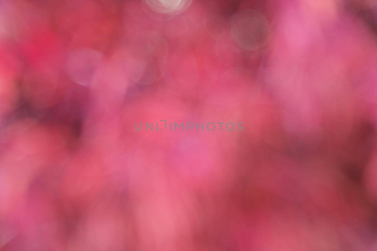 blur abstract and background by geargodz