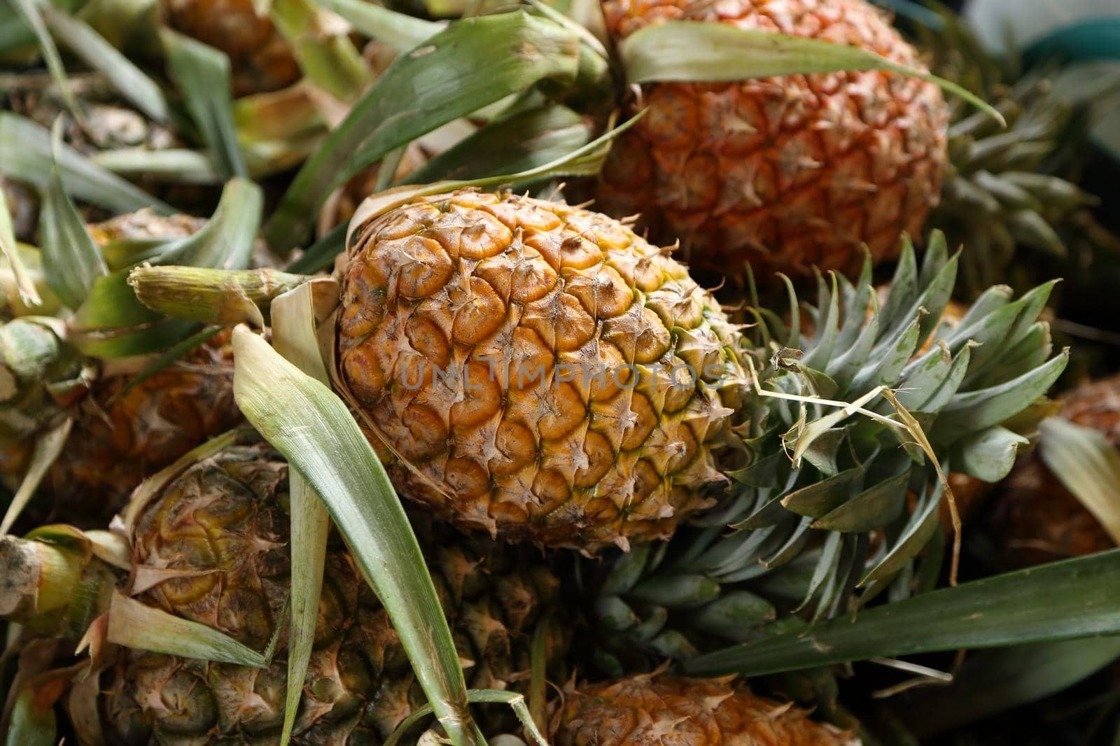 Pile of pineapples at the market