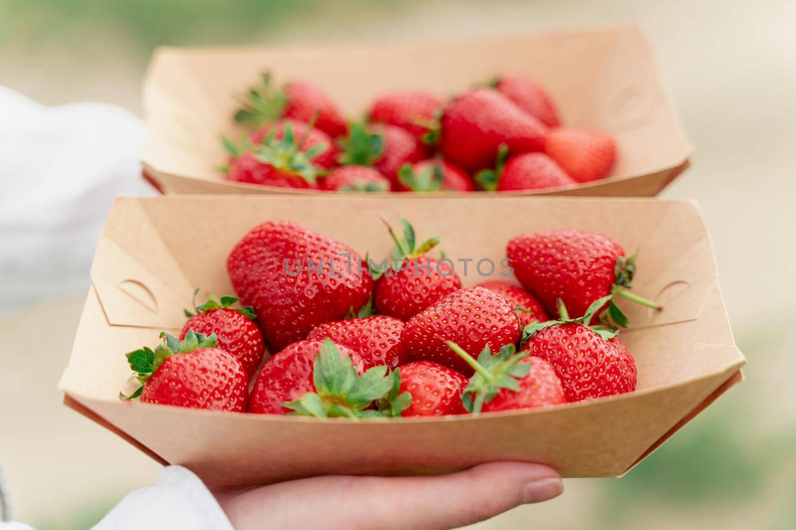 Strawberry in disposable eco plate in woman hands on green background