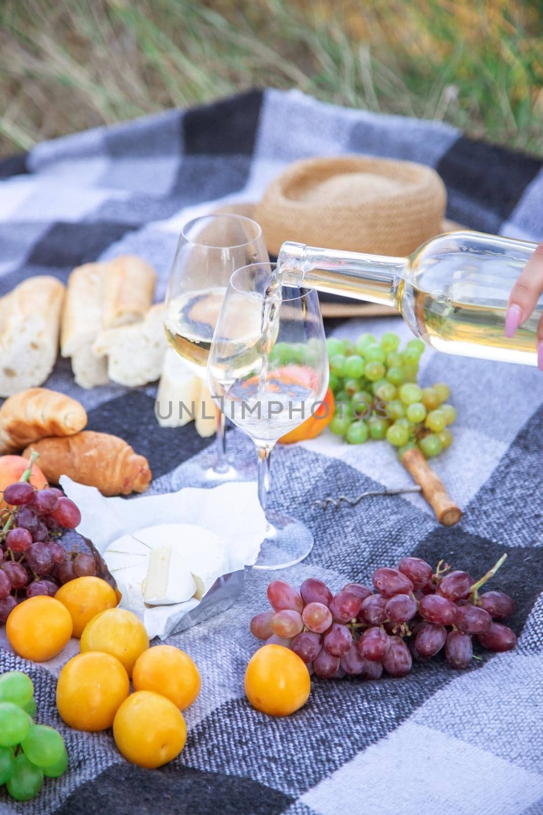 picnic in nature, a girl and a man are holding glasses in their hands with wine. Selective focus