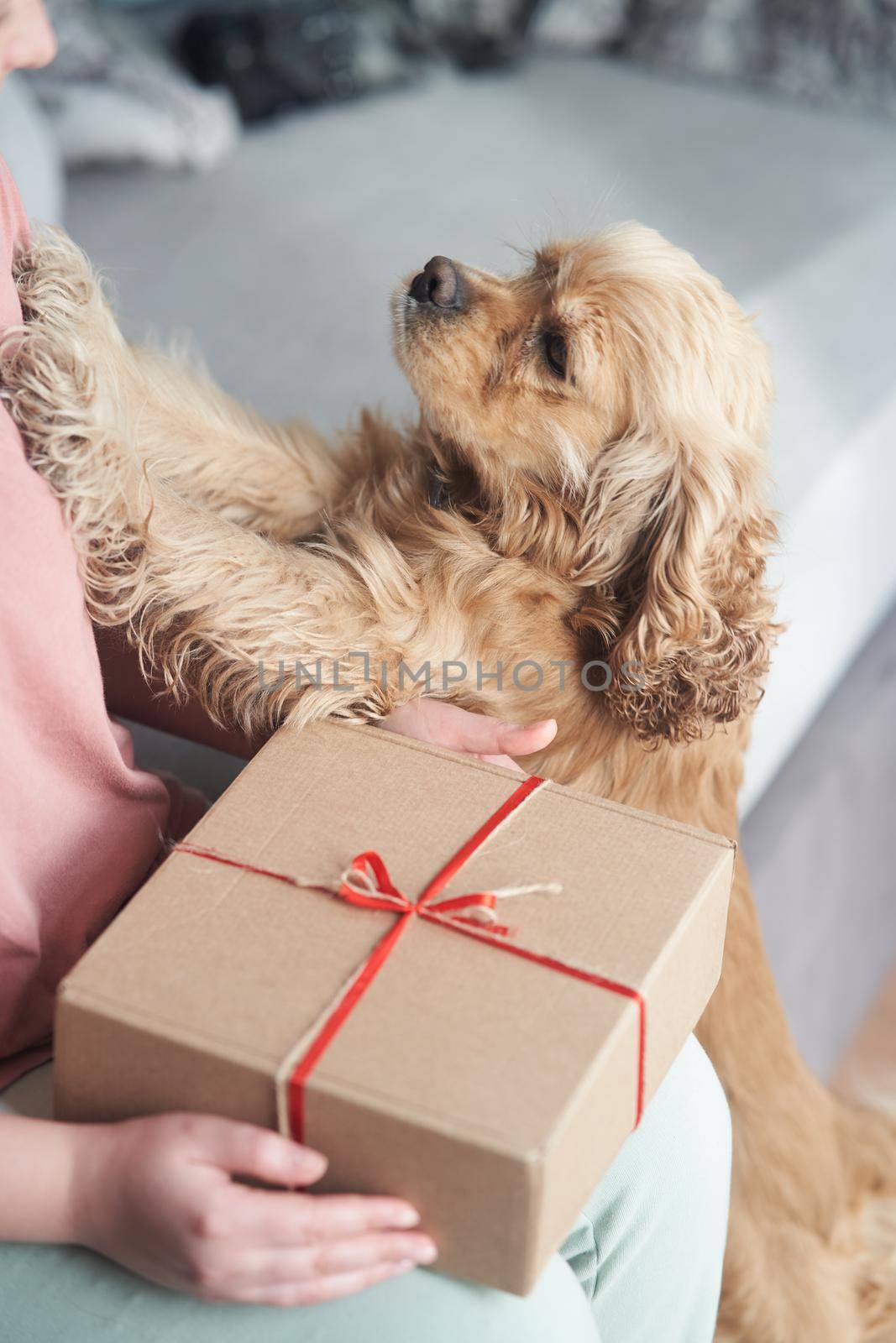 Selected focus. Girl holding a gift box with a red ribbon in her hands. The girl received a gift