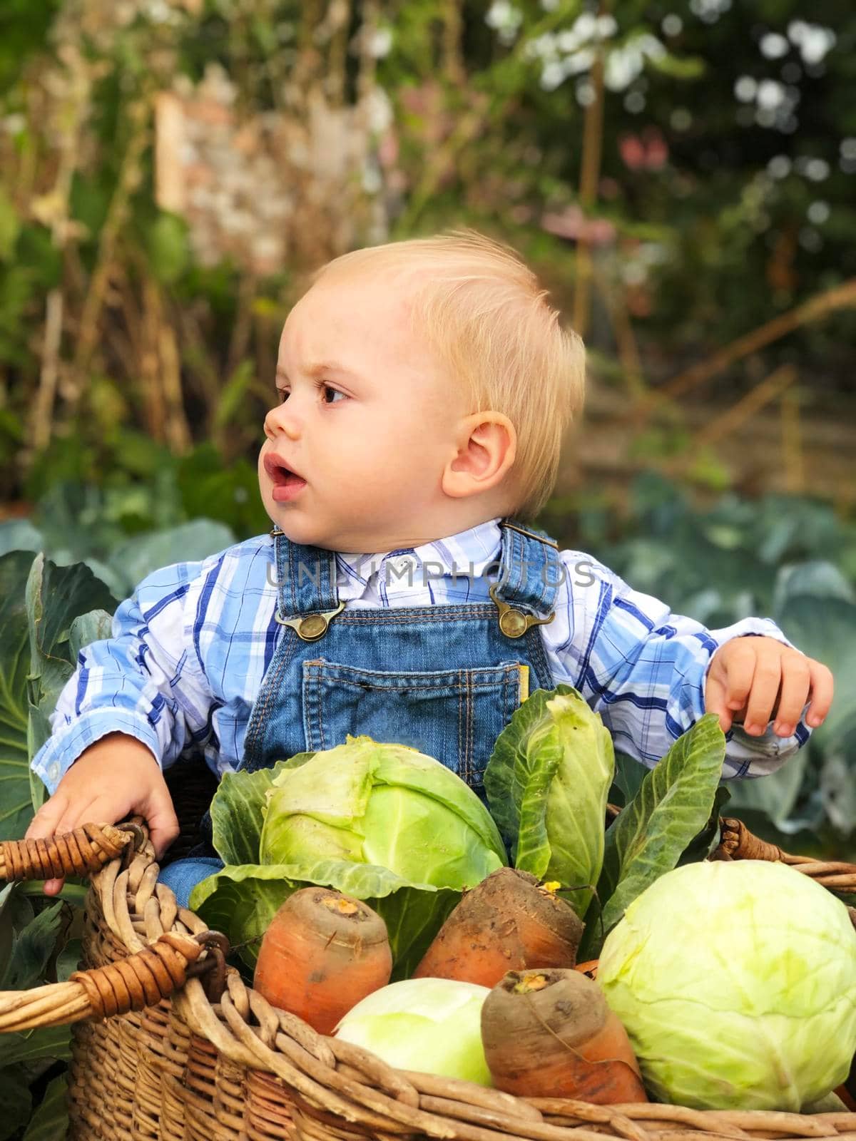 The child is a little farmer. Farm assistant.