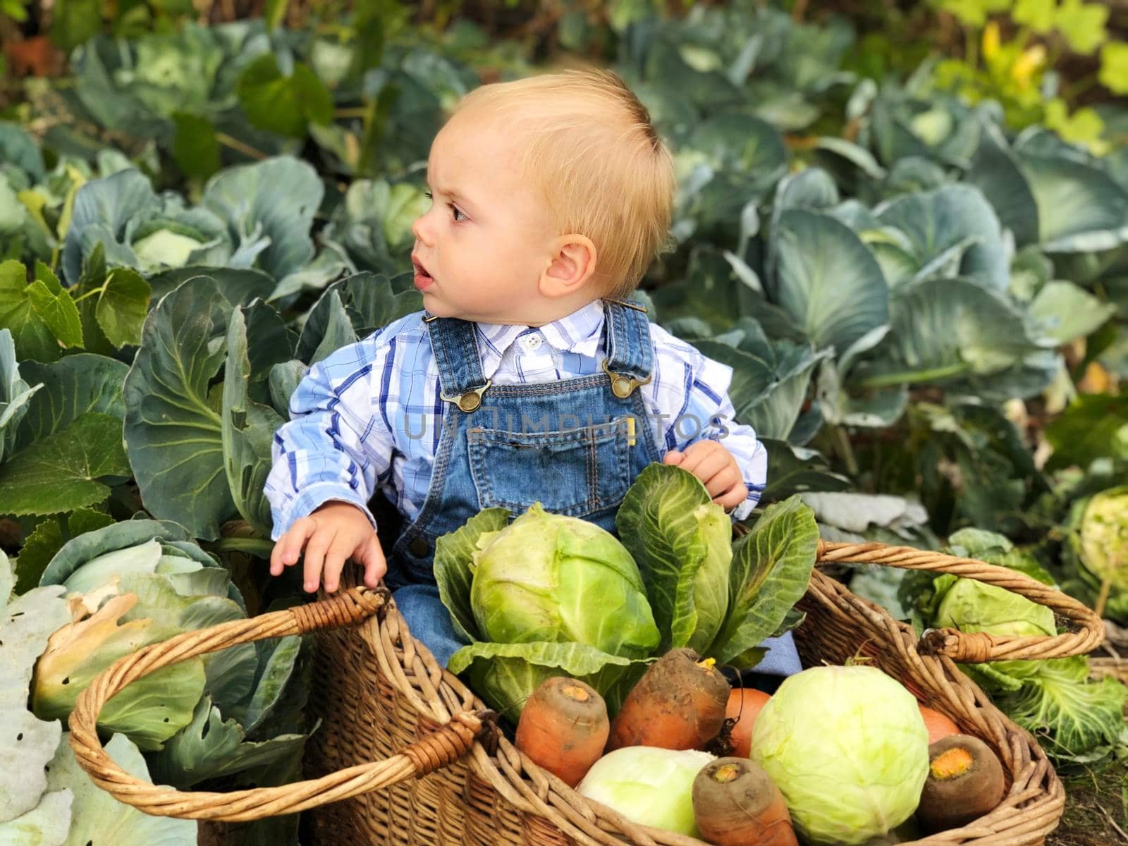 The child is a little farmer. Farm assistant.