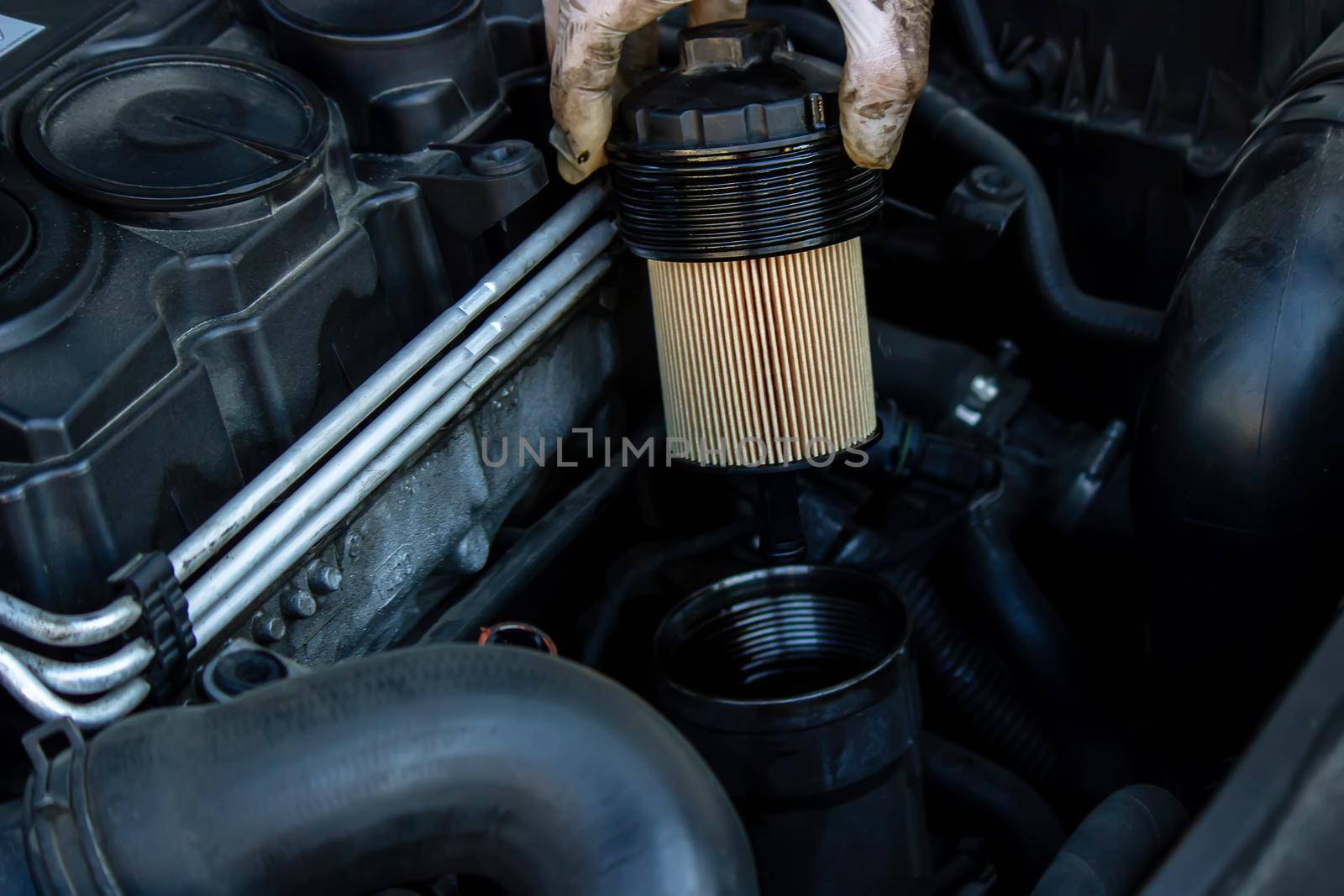 replacing the oil filter on the car. Selective focus