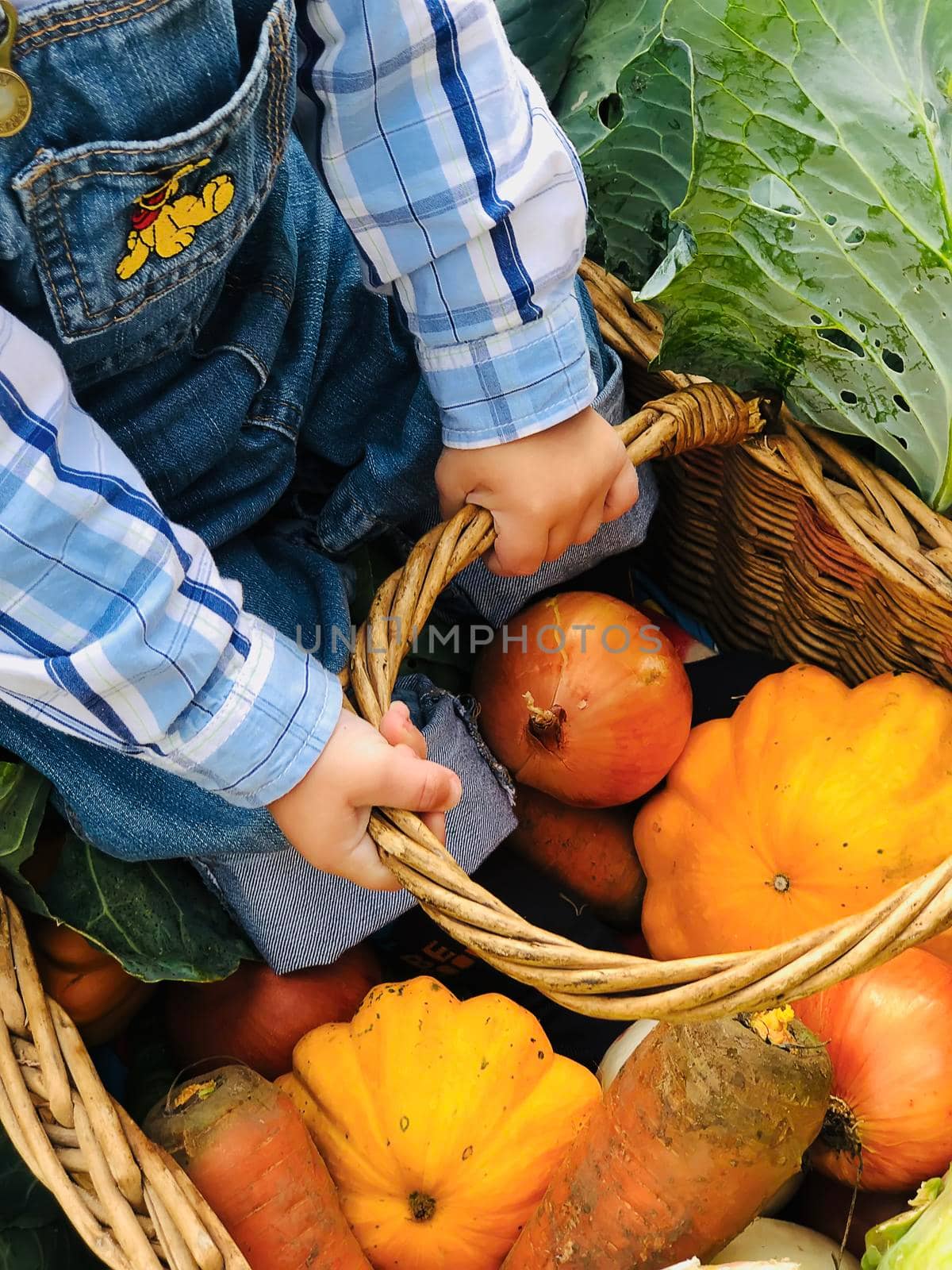 The child is a little farmer. Farm assistant.