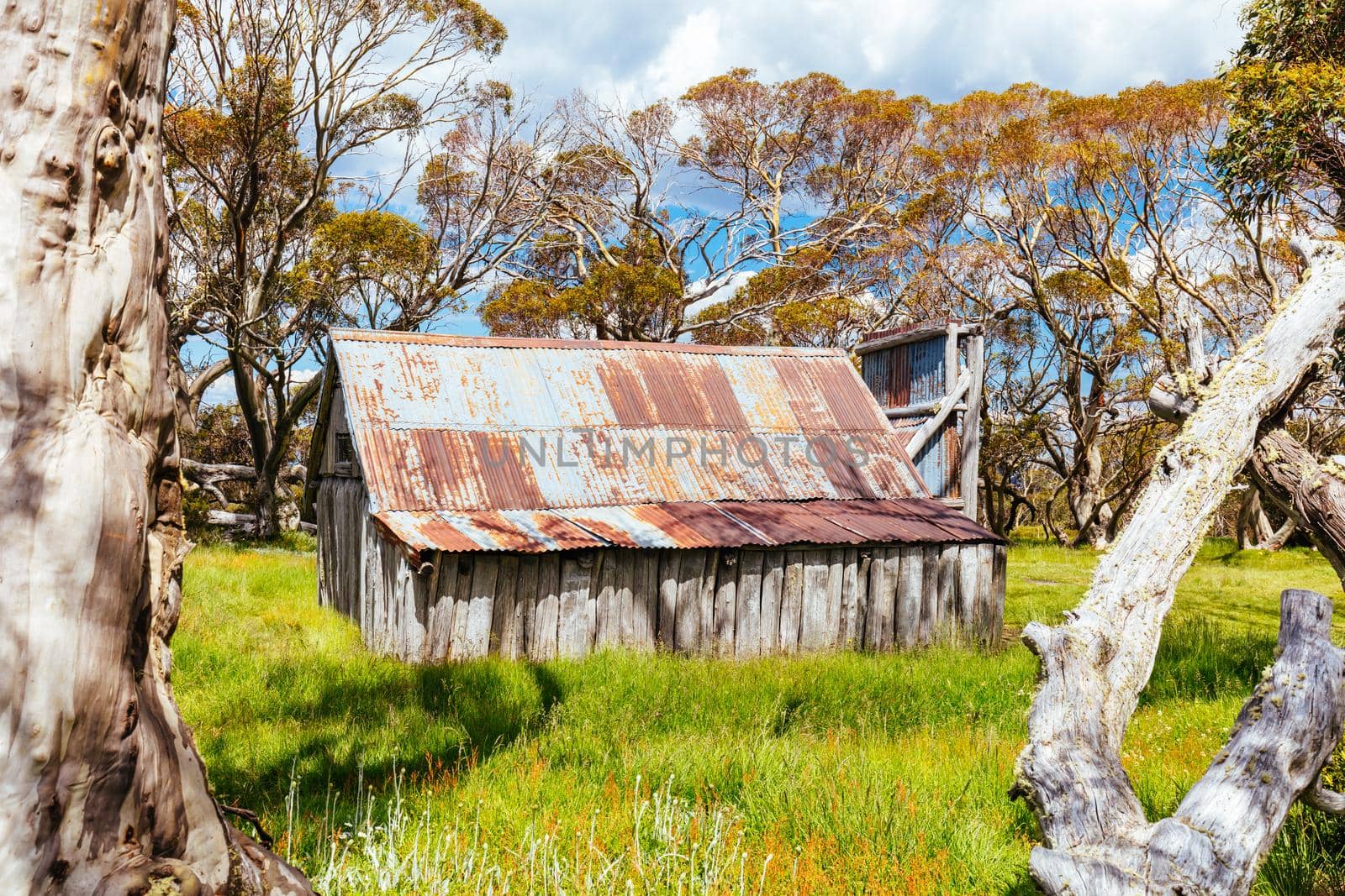 Historic Wallace Hut which is the oldest remaining cattlemen's hut near Falls Creek in the Victorian Alps, Australia