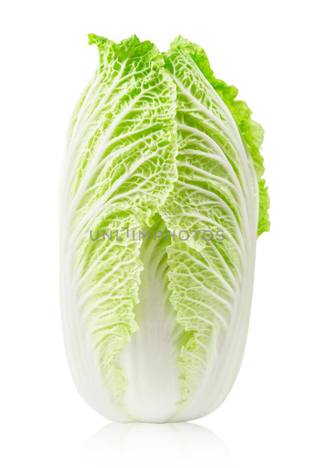 Chinese cabbage on white background by Gamjai