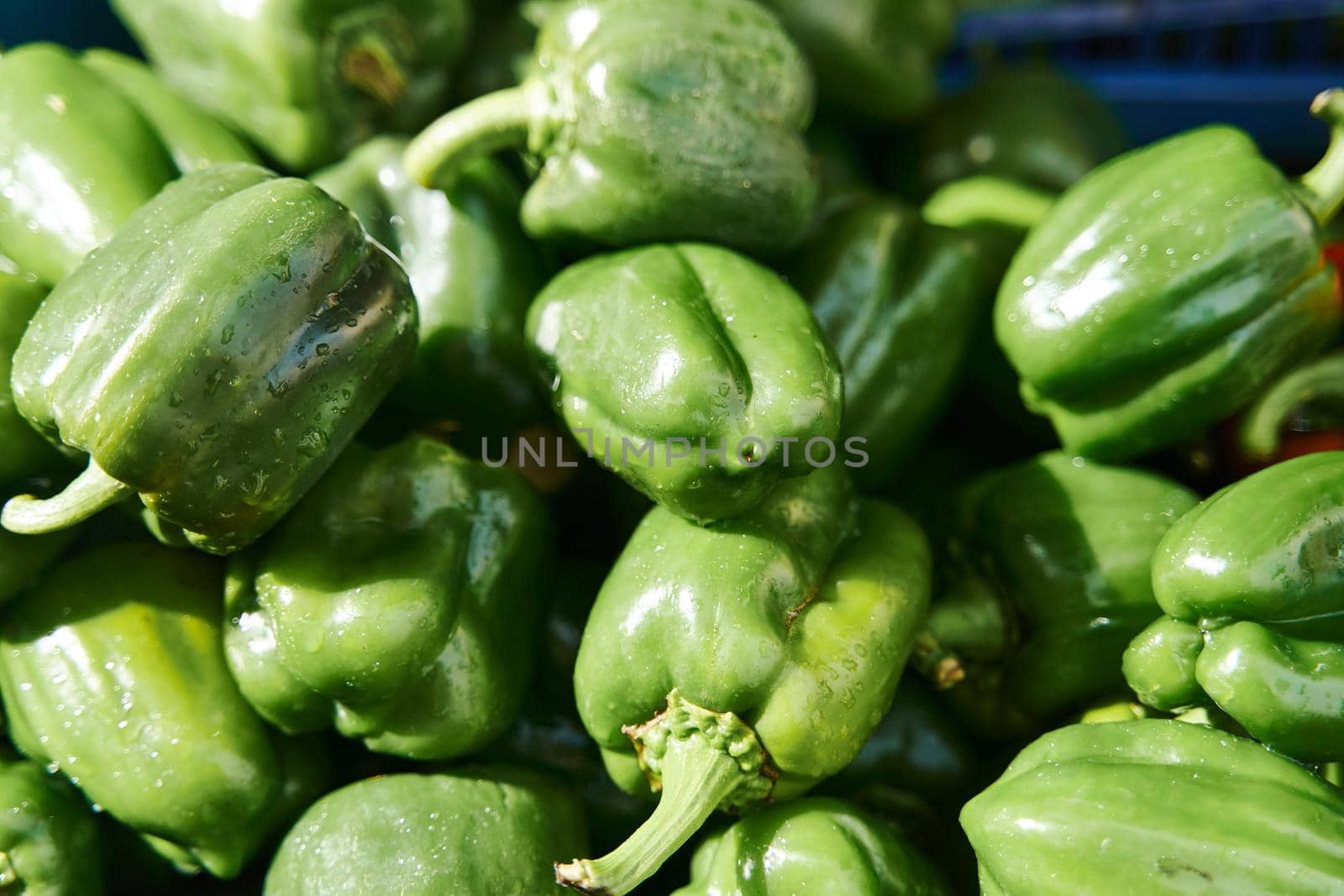 Green fresh peppers on the counter in a vegetable shop. High quality photo