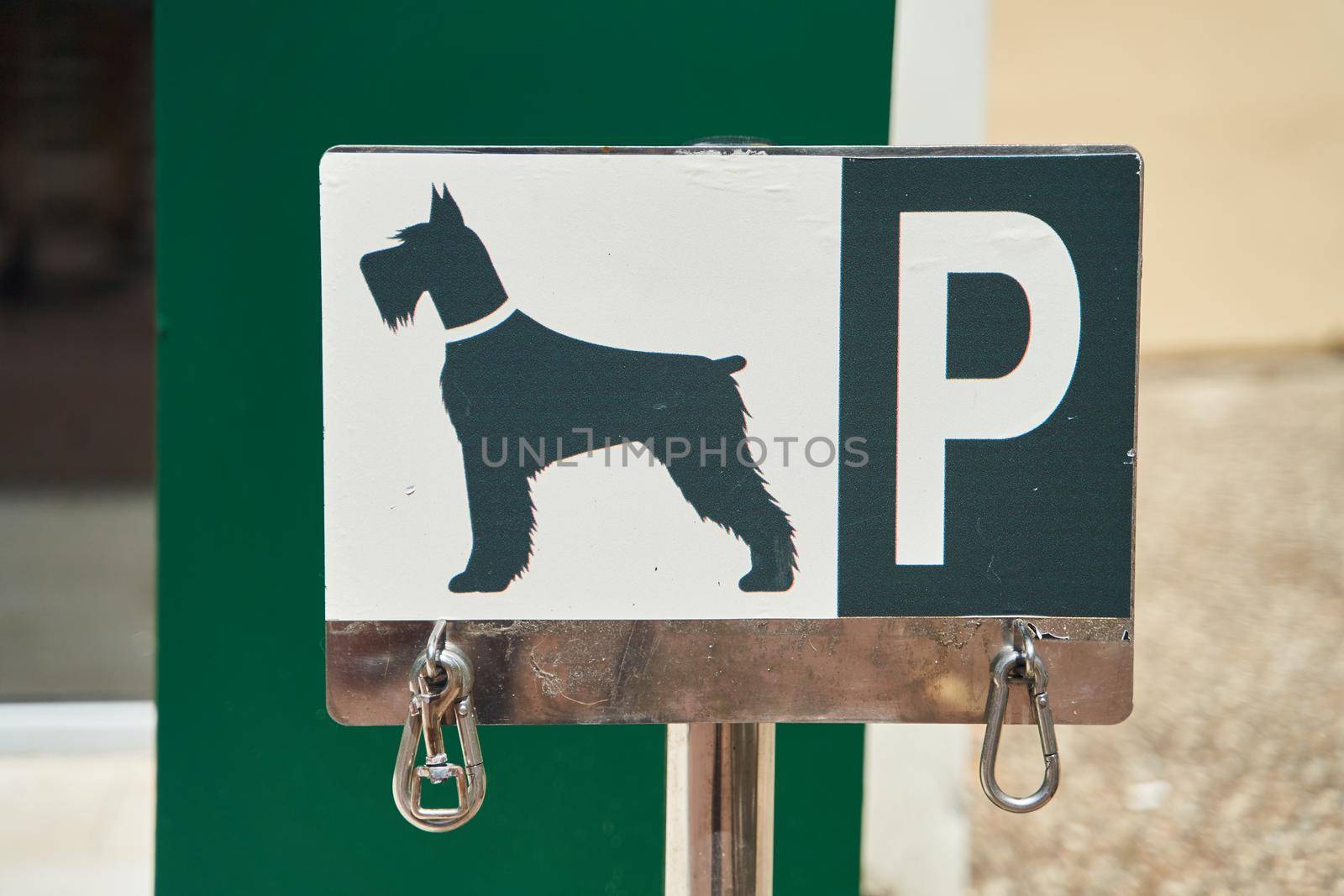 Designated dog parking sign on blue plate. Place for bind dogs waiting for owners outside, with rings for attaching leash, on public place area or shop. Copy space. Close-up. Outdoors.