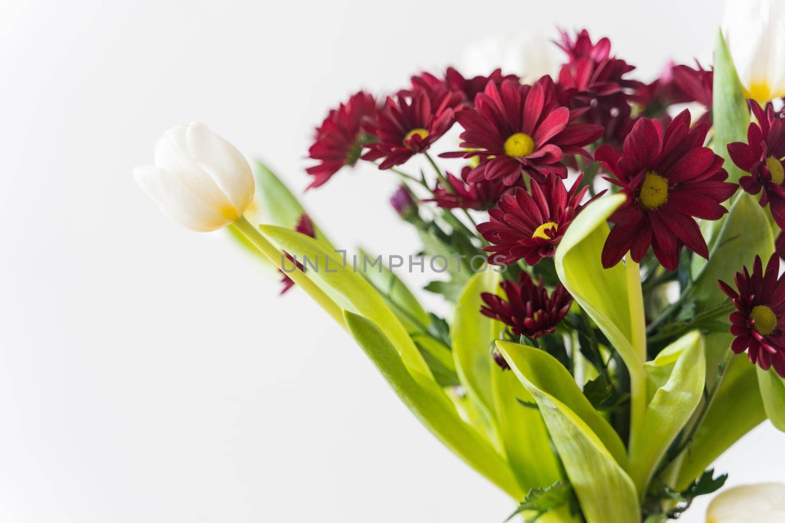 Bouquet of tulips and chrysanthemums in a vase on a white background. High-quality photo