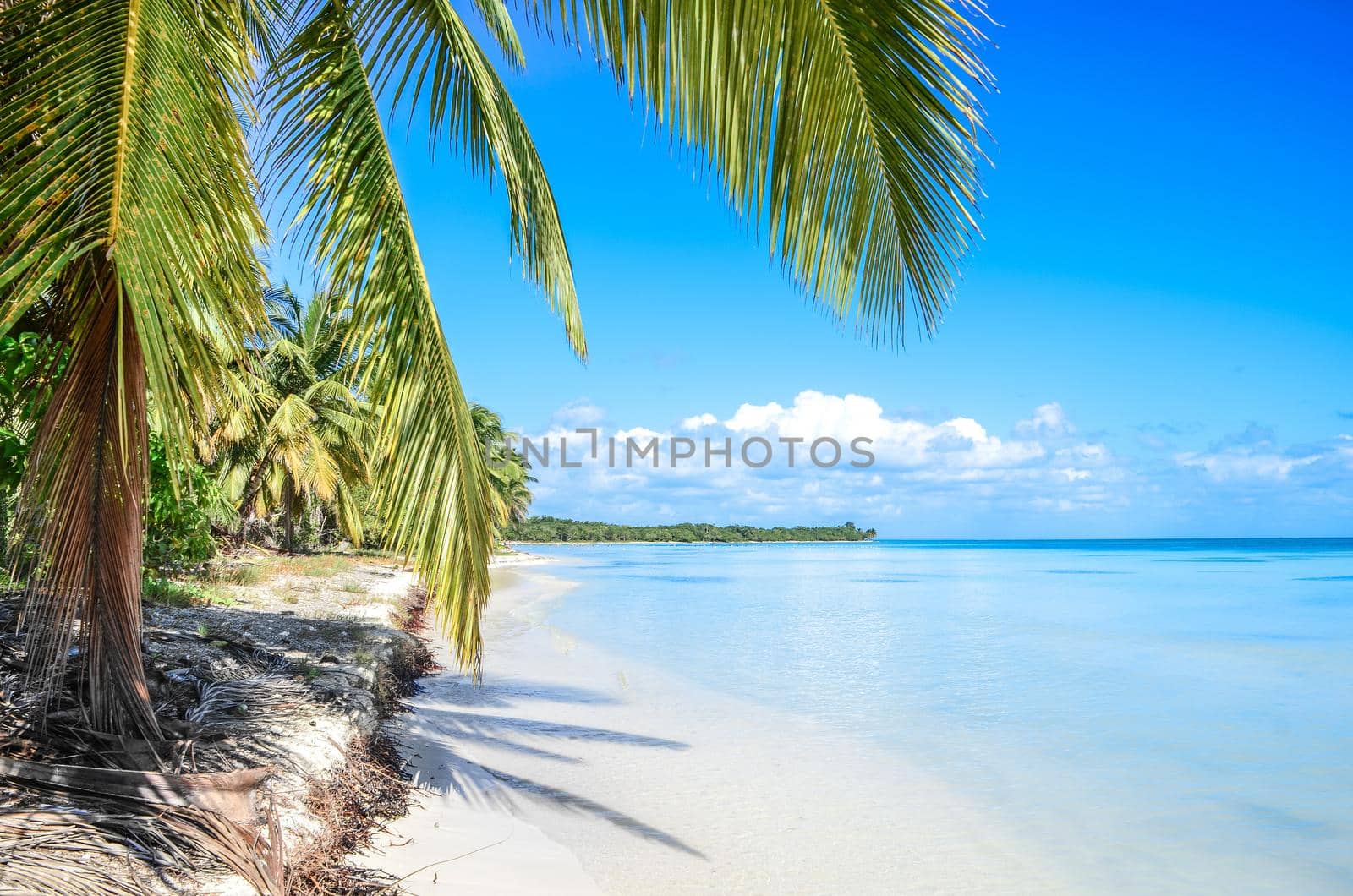 Untouched tropical beach by Proff
