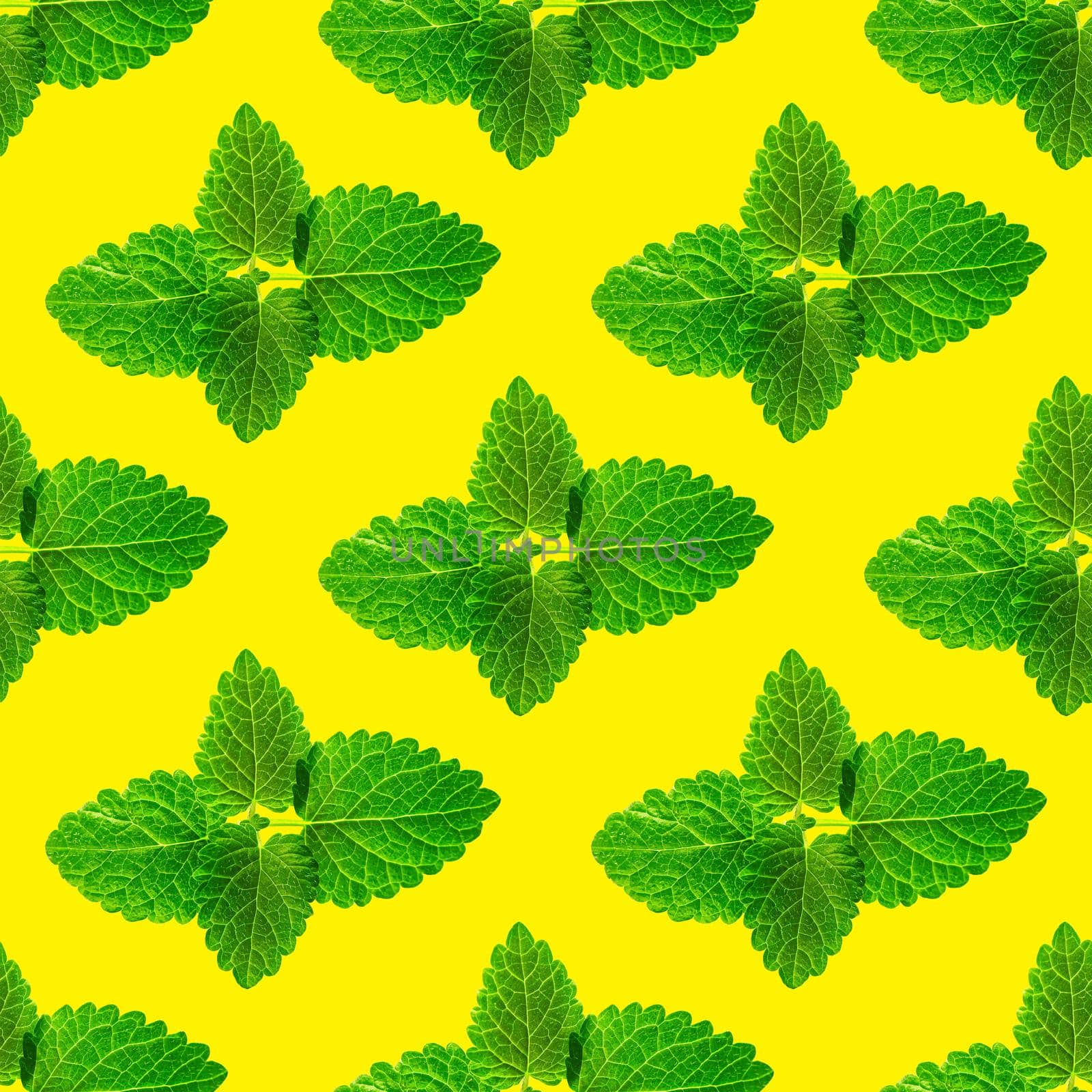 Seamless pattern of fresh mint leaves on yellow background by PhotoTime