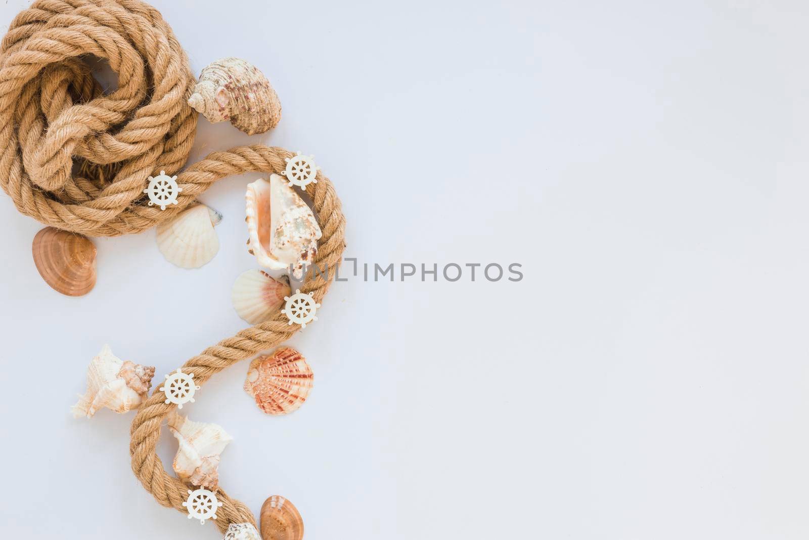 sea shells with nautical rope white table