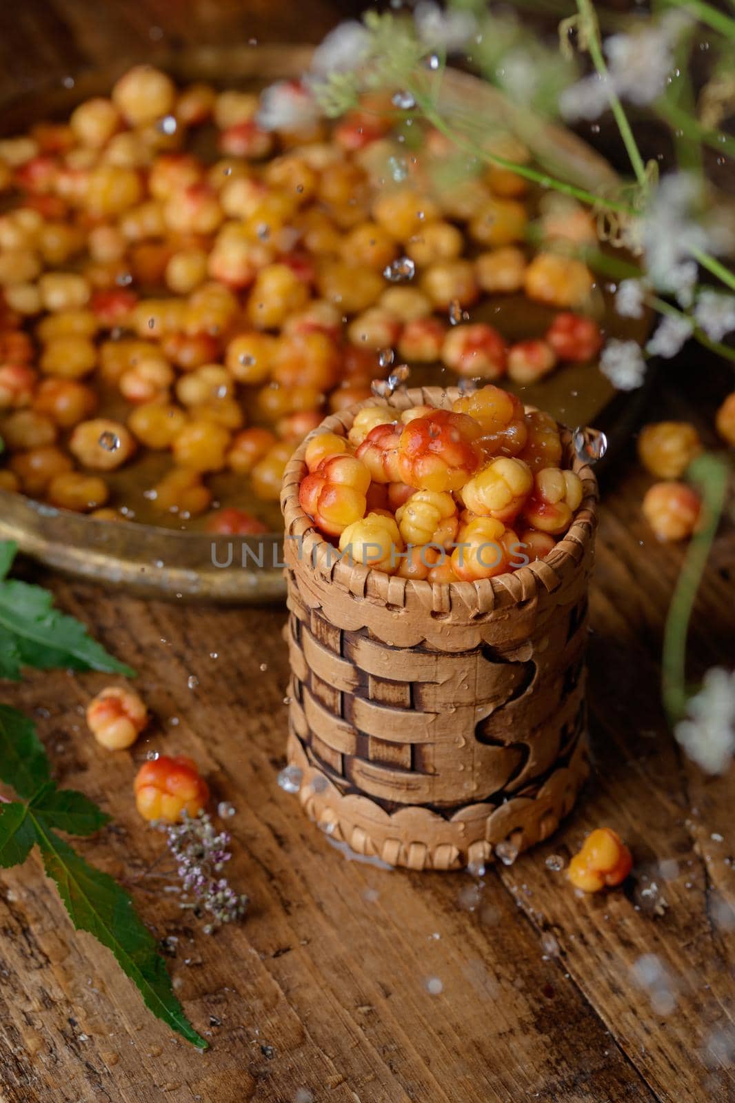 Cloudberry berries with the water drops