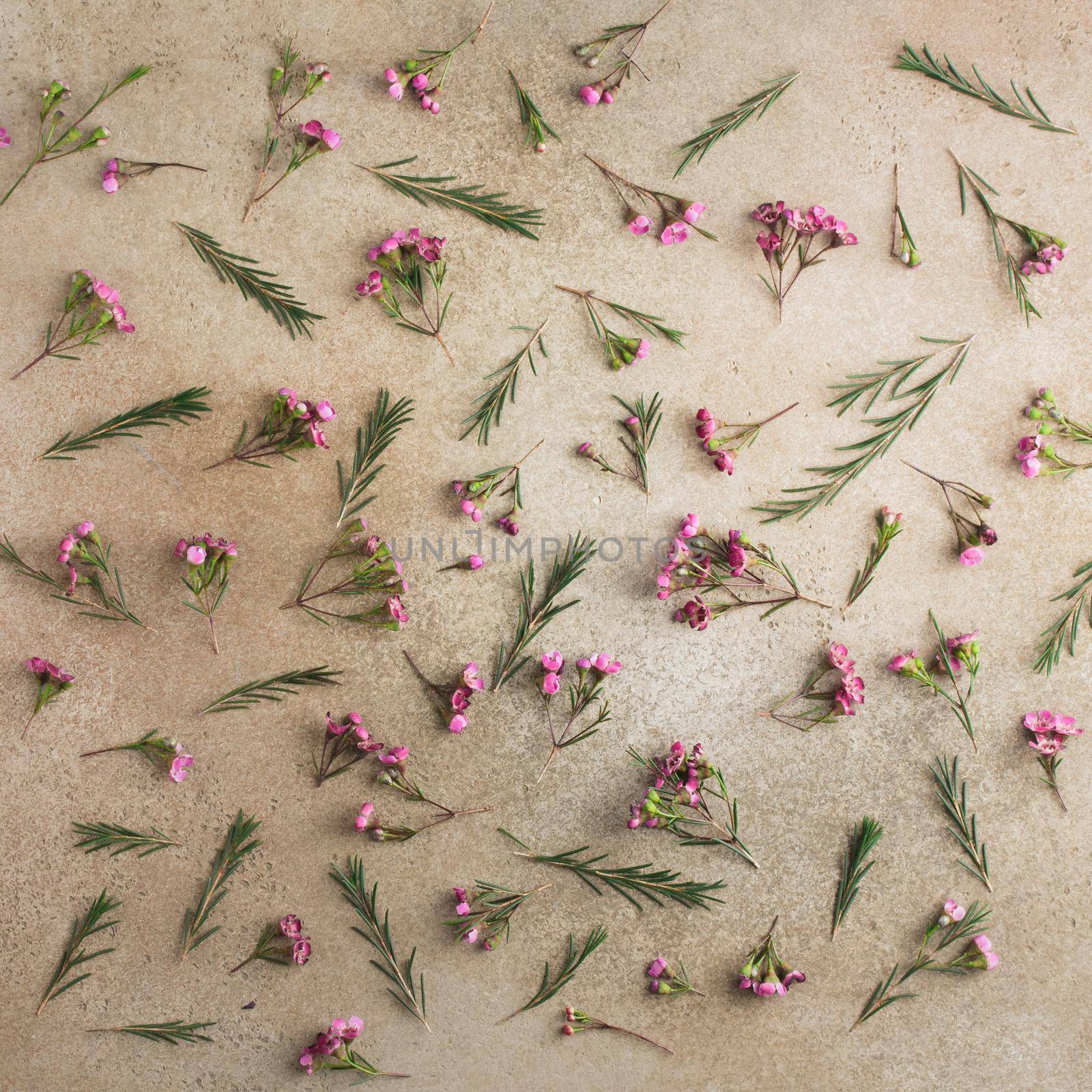 Vintage pink flower pattern top by Gudzar
