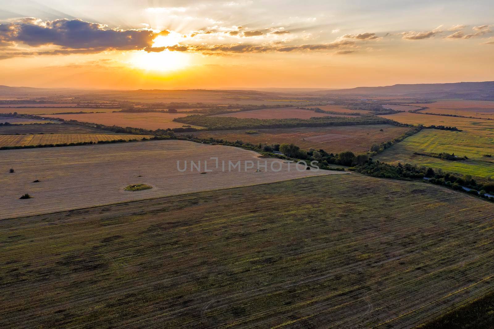 Aerial drone view of plowed and green fields, trees at sunset, agriculture concept. Countryside farmland in the summer