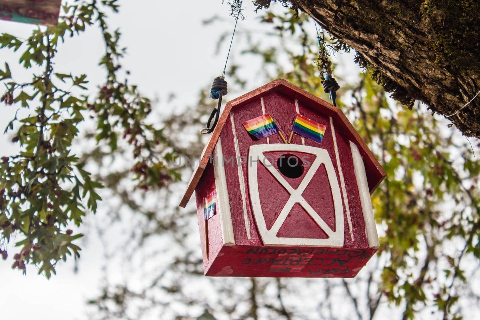 Vancouver, British Columbia, Canada - September 23, 2017: The red birdhouse on a tree in spring forest background by JuliaDorian