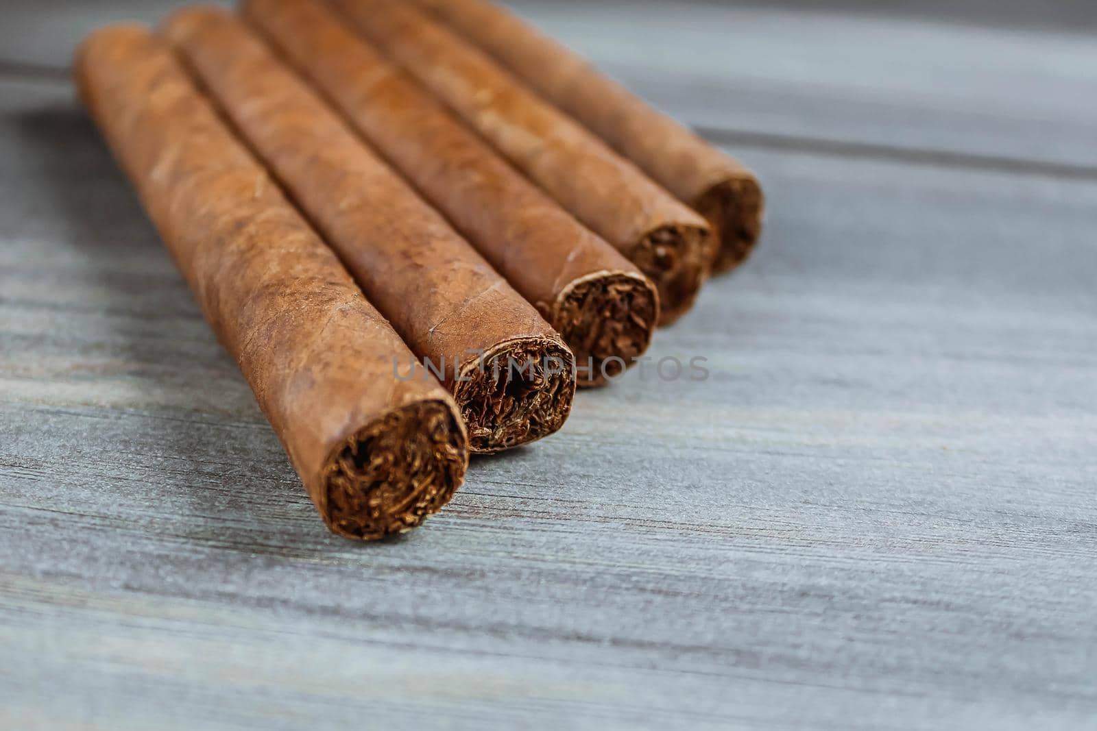 Many cigars on the wooden background. Rolled cigars by JuliaDorian