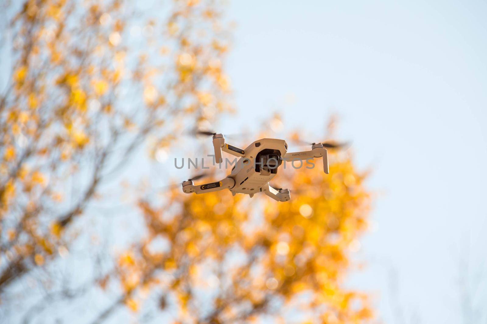 Flying drone taking pictures of autumn landscape. Blue sky, yellow leaves.